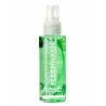 Pulizia giocattoli FLESHLIGHT TOY CLEANER 100ML